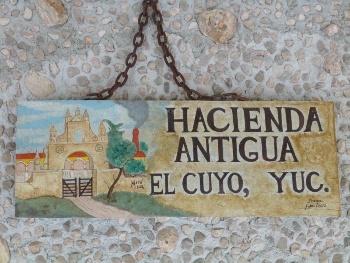 Hacienda Antigua Villa, 50M From Sandy Beach El Cuyo Eksteriør billede